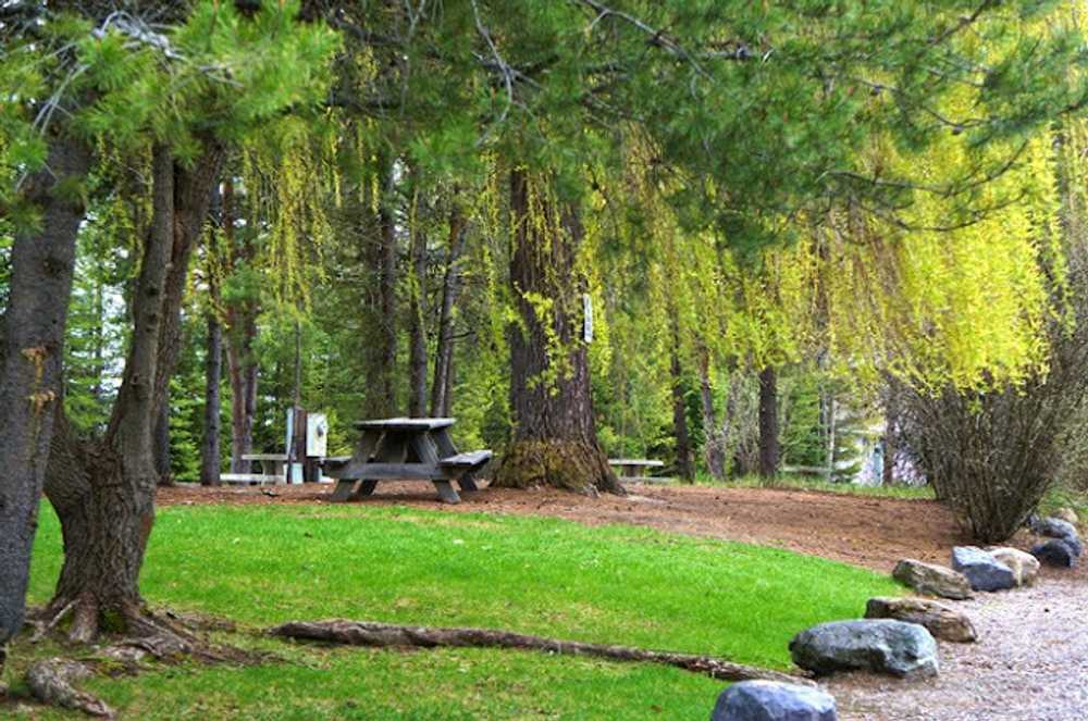 Whitefish RV Park - Whitefish, Montana - Campspot