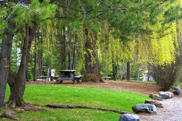 Whitefish RV Park campground