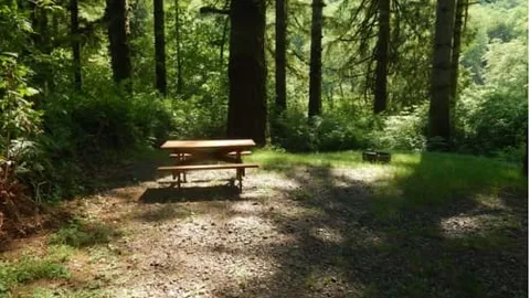 Blue Tent Site — image 6 of 6