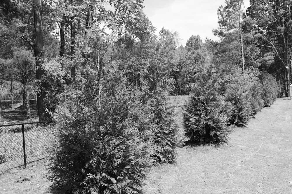 Madison Trails RV Park - Madison, GA - Photo 5