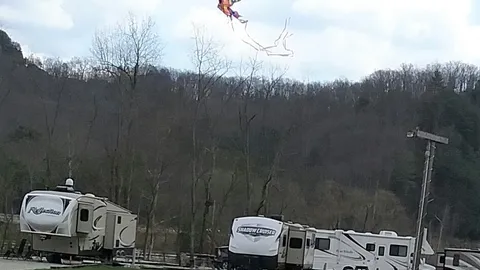 Premium Full Hook-up RV Site — image 2 of 8