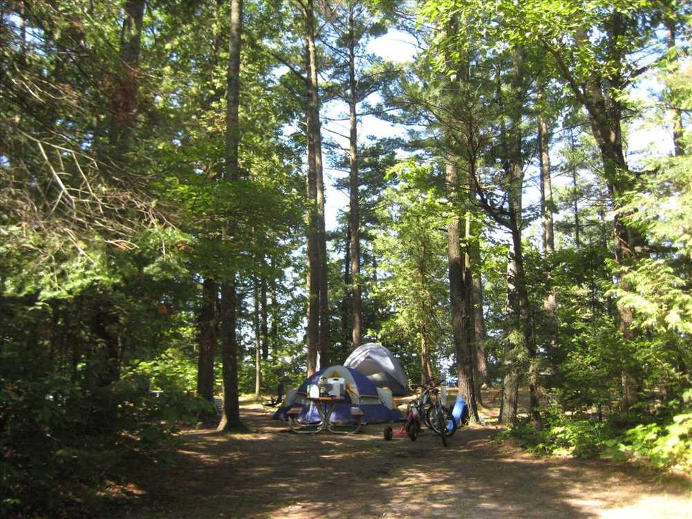 Barnes Park Campground, Eastport, Michigan - Photo 5