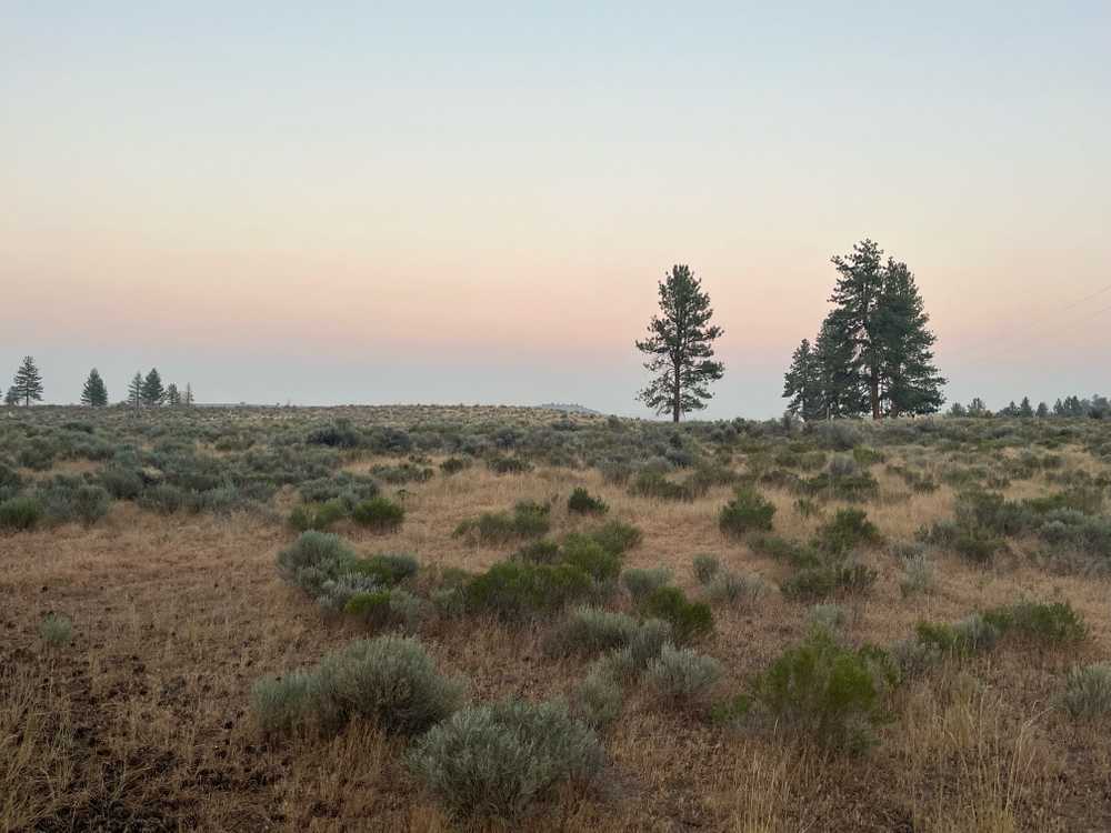 Coyote Ridge Campground, Fort Rock, Oregon - Photo 4
