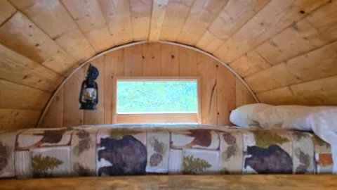 Covered Wagon — image 2 of 11