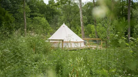 Luxury Glamp Tent — image 1 of 7