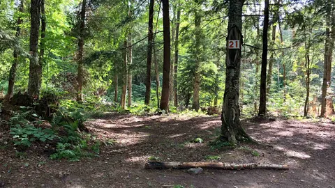 Wilderness — image 1 of 19