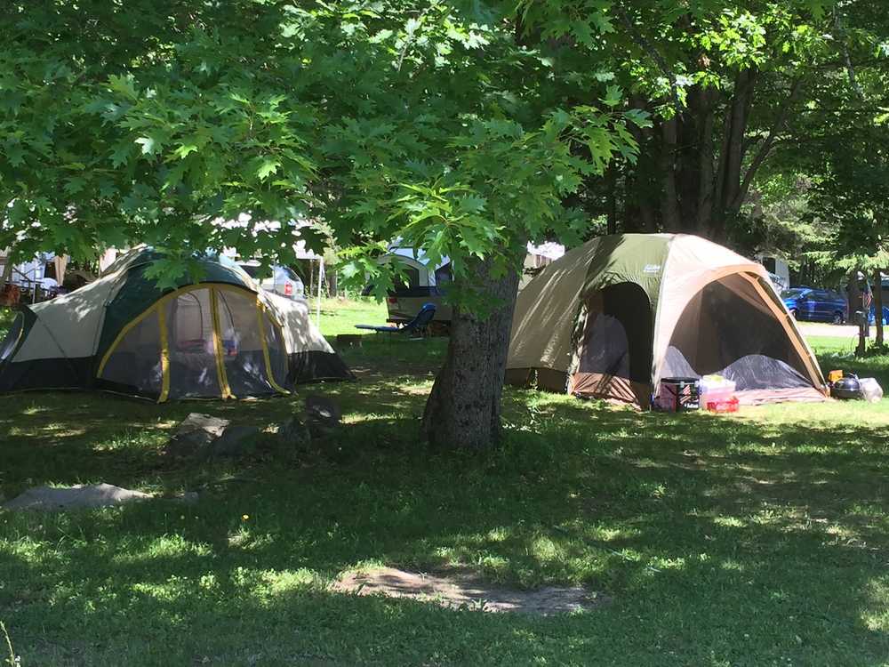 Cold River Campground - Photo 5