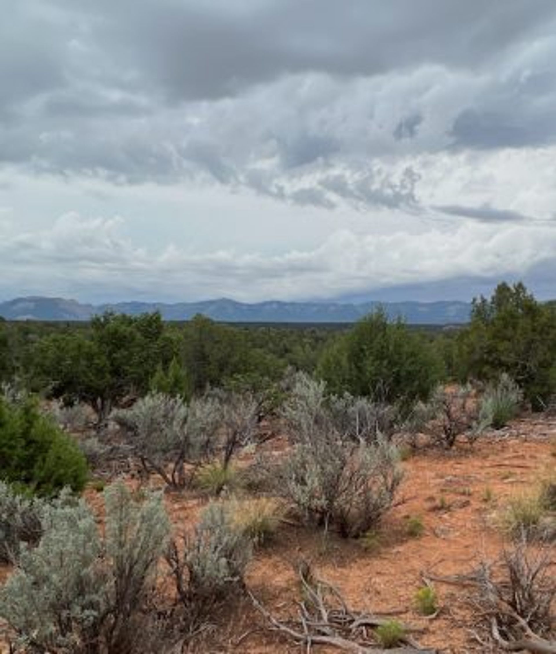 Ramble at Mesa Verde National Park