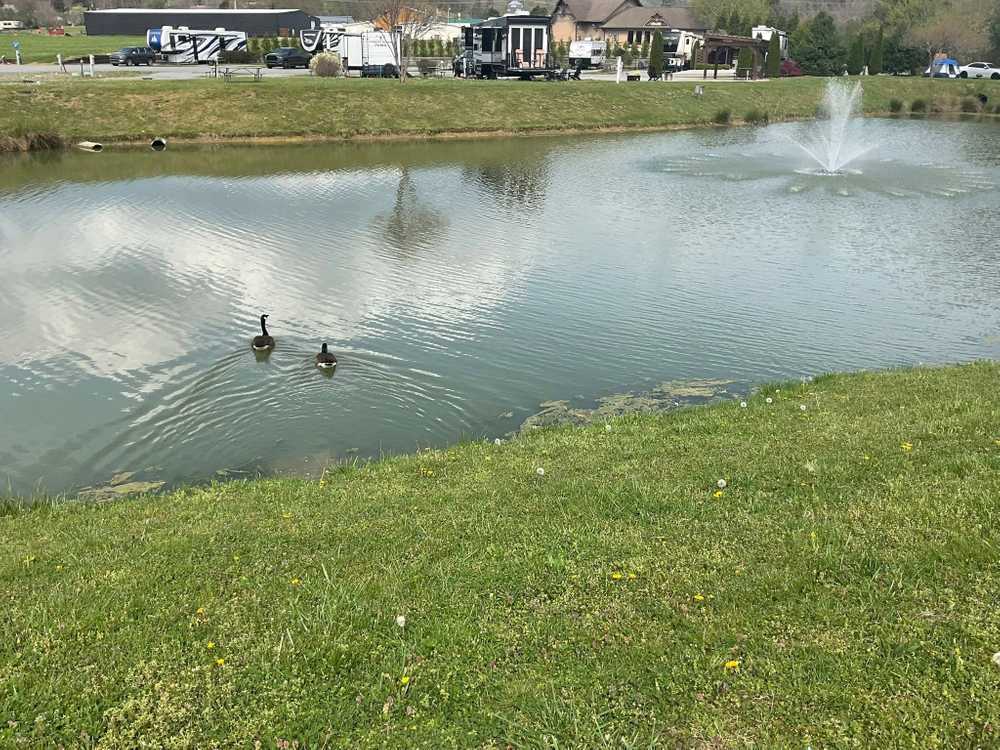 Park Image 27