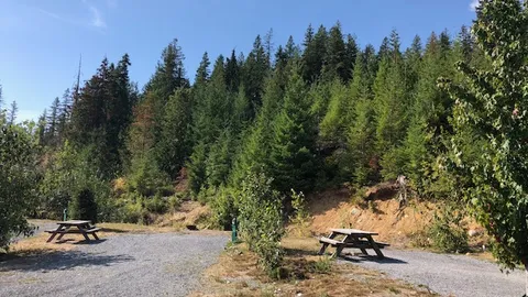 Full Hook-up RV Site — image 5 of 5