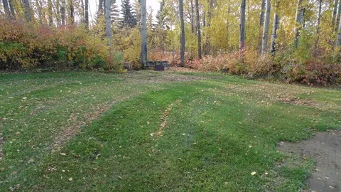 NON POWER SITE - NEAR FRONT ENTRANCE — image 1 of 1