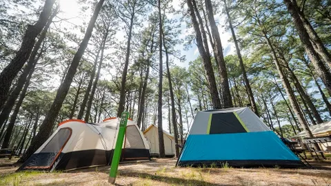 W/E Tent Site — image 4 of 4
