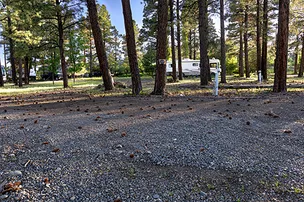 Basecamp Pagosa – photo 2