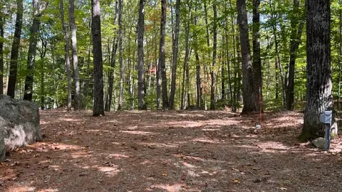 Deluxe Full Hookup RV Site — image 1 of 1