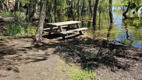 Primitive Tent Site — image 27 of 27
