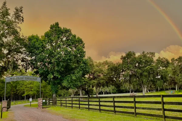 Farm Of Dreams Resort – photo 1