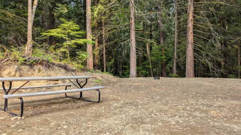 Forest Group Tent Site — image 1 of 6