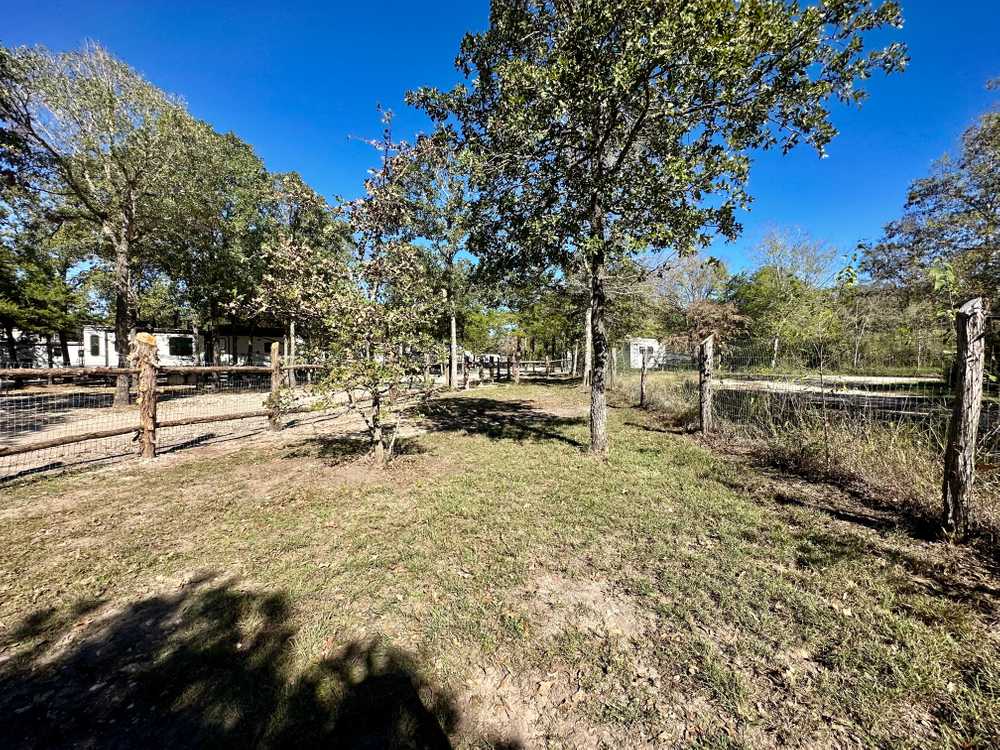 Park Image 5