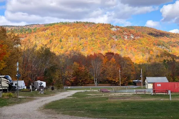 White Birches Camping Park – photo 1