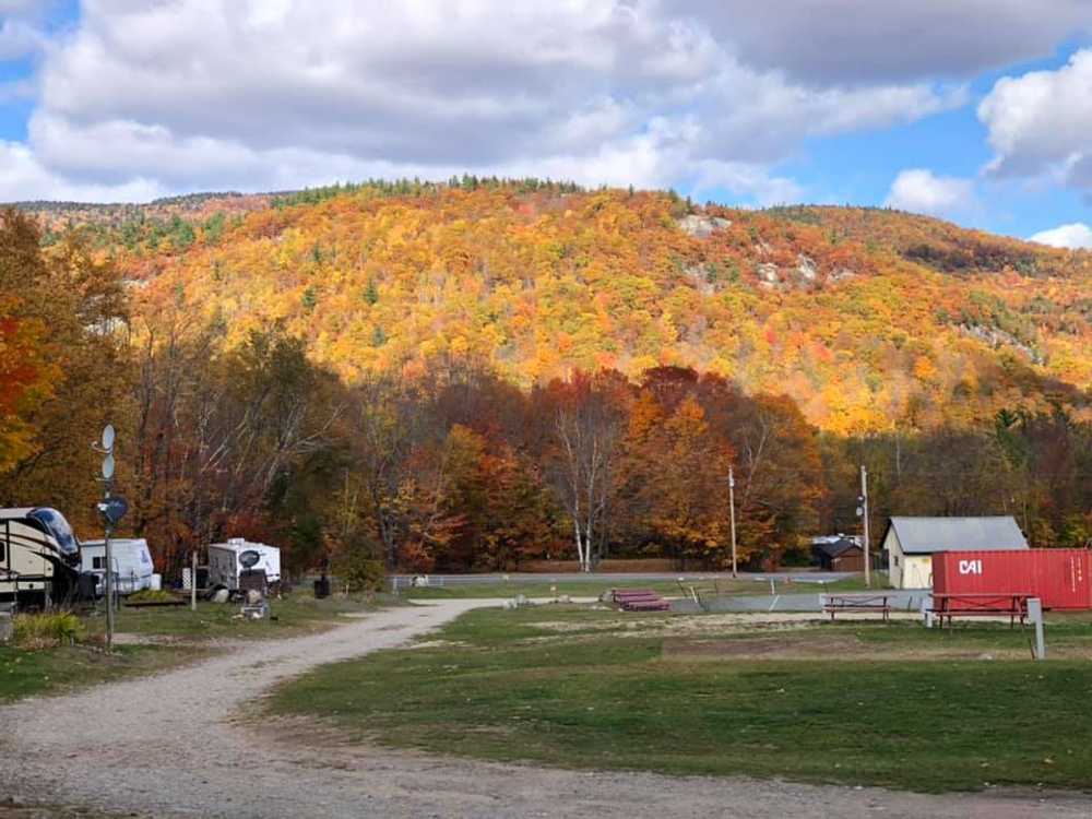 White Birches Camping Park