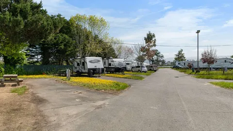 Back in Site — image 2 of 3
