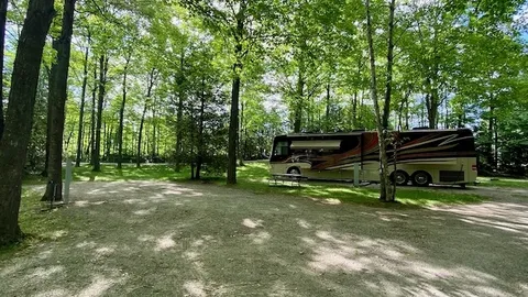 Drive In Shaded Full Hookup Motorhome Site (CLASS A, CLASS B AND CLASS C ONLY) — image 1 of 5