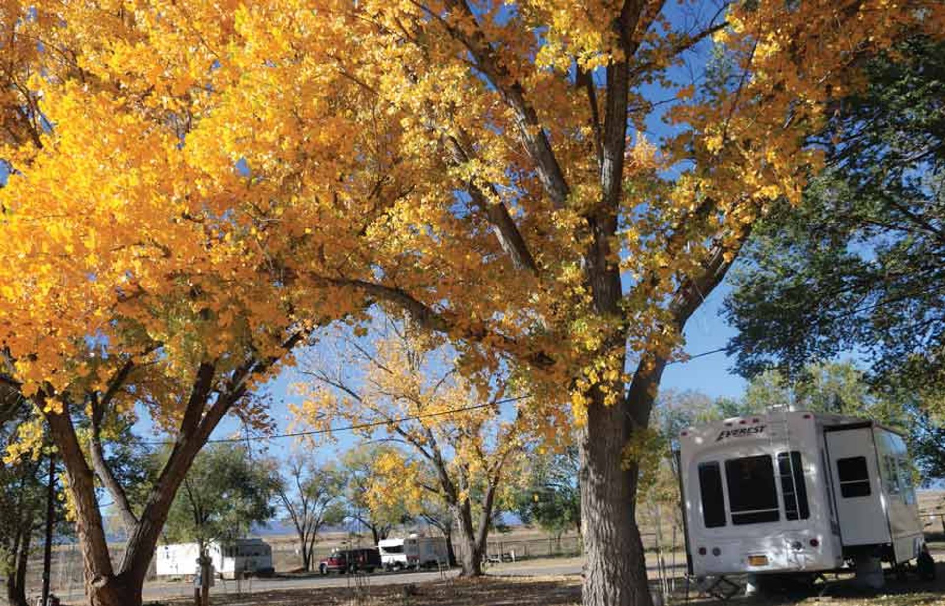 Avery's RV Park