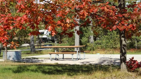 Front Loop RV Site (Back-In) — image 5 of 5