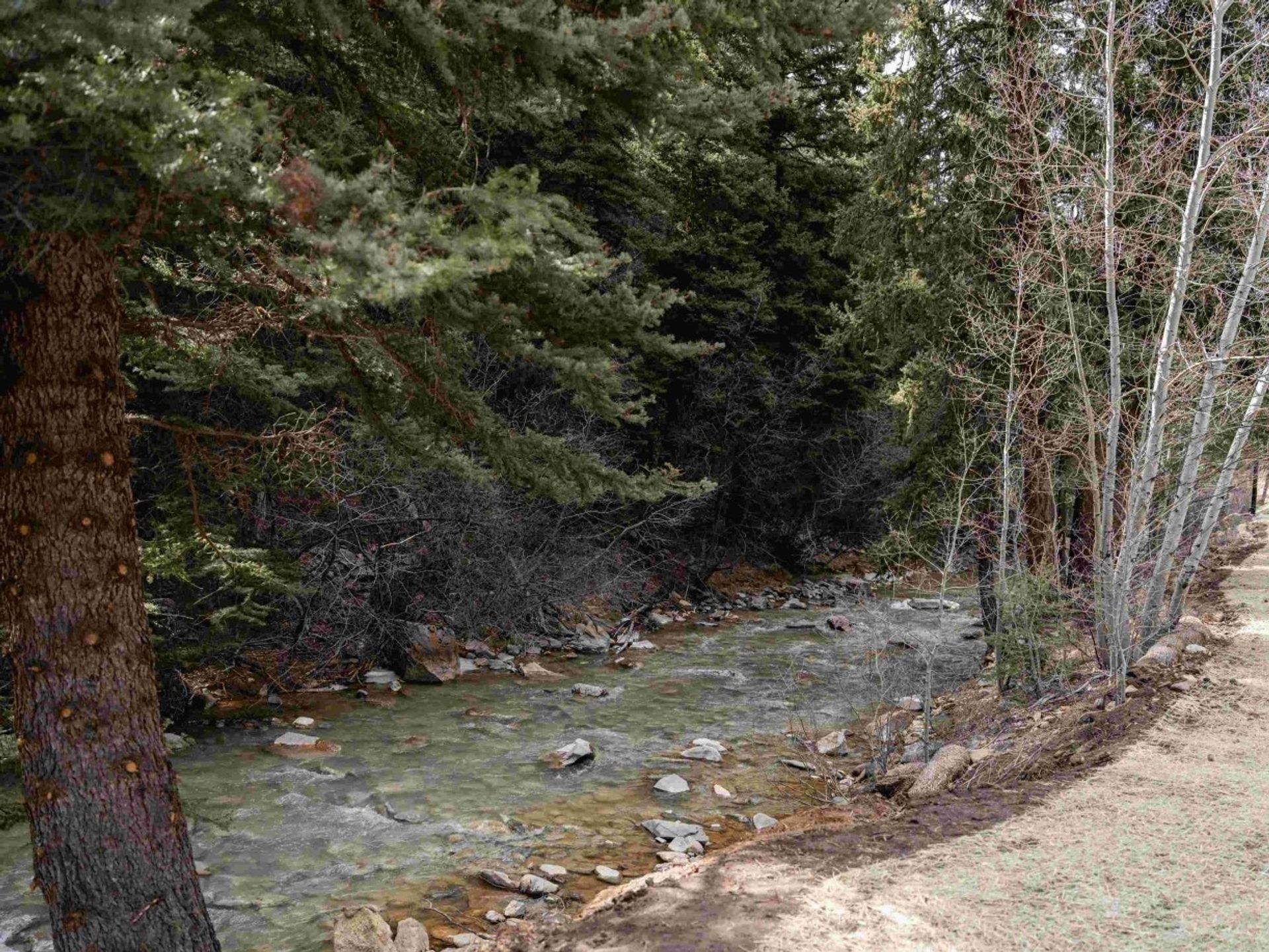 Lostfork Basecamp, Grant, Colorado