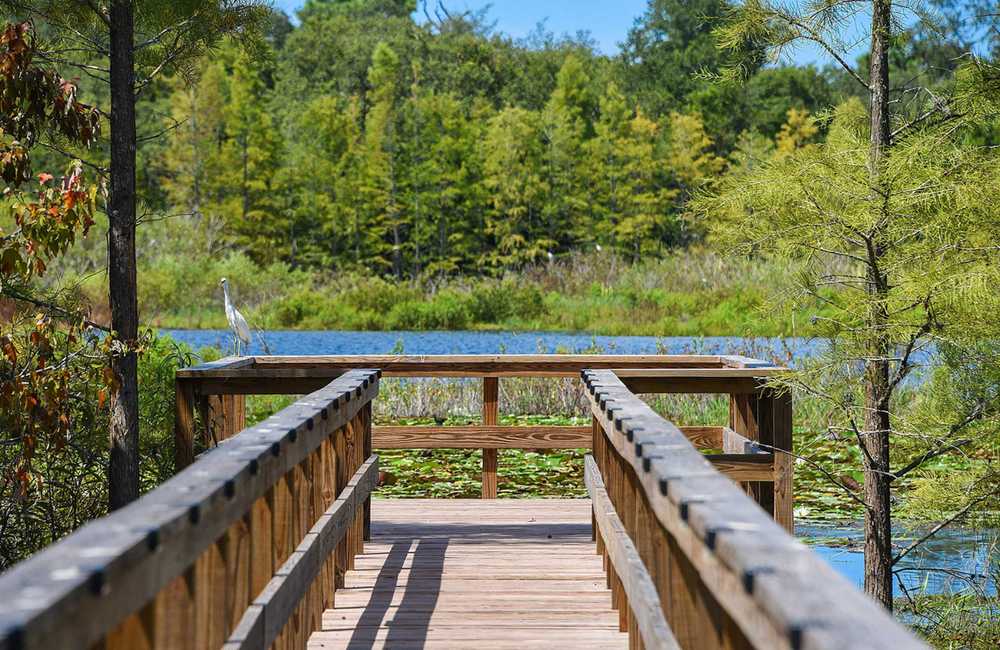 Orchid Lake RV Resort (Age Restricted 55+) - Photo 4
