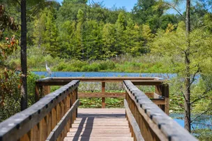 Orchid Lake RV Resort (Age Restricted 55+) – photo 4
