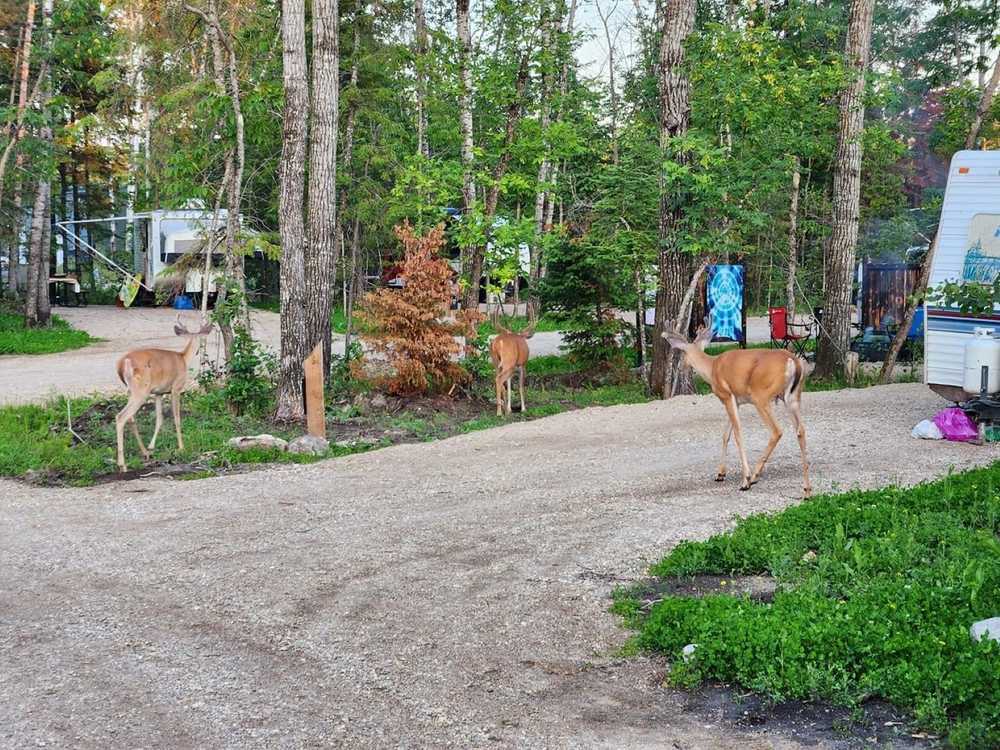 Park Image 5