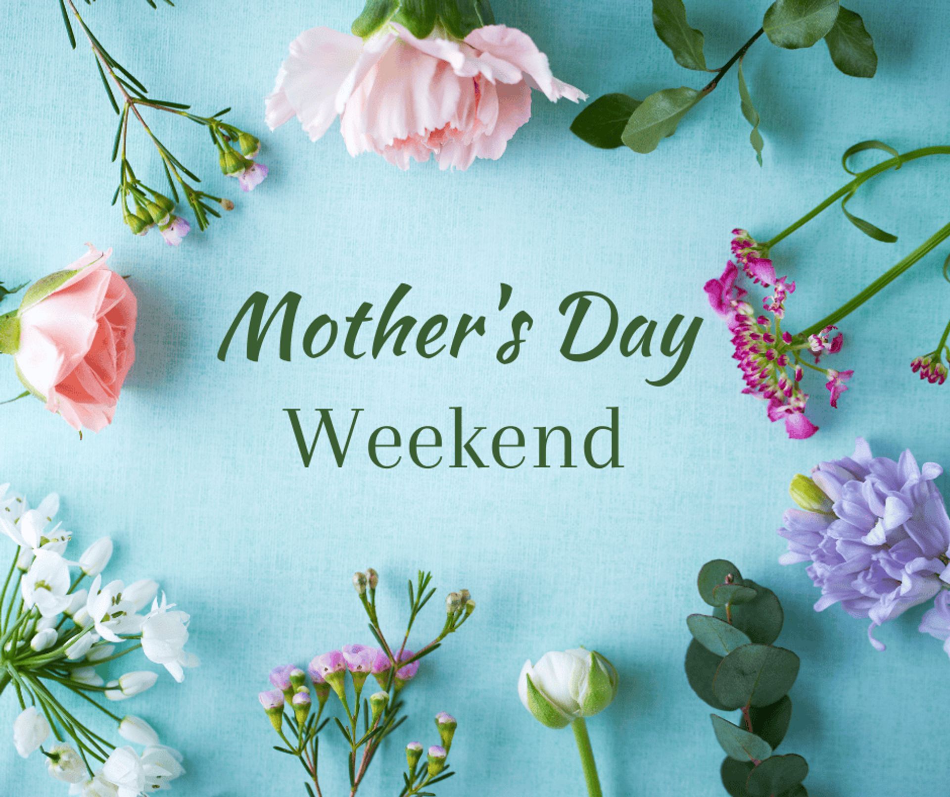 Zooland Family Campground