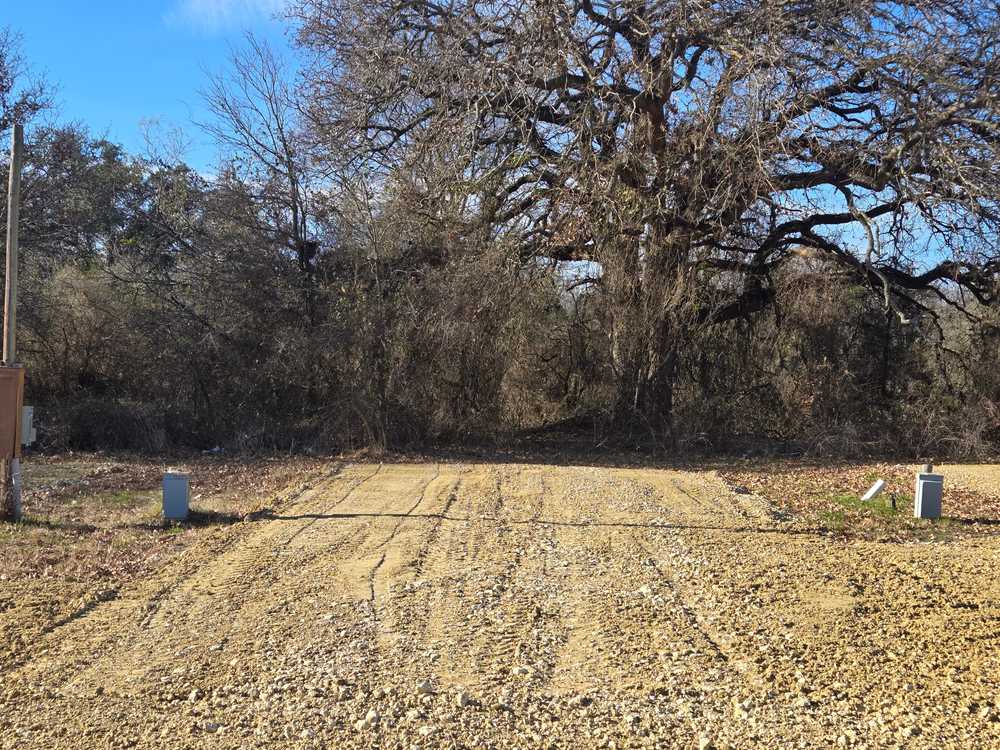 Park Image 6