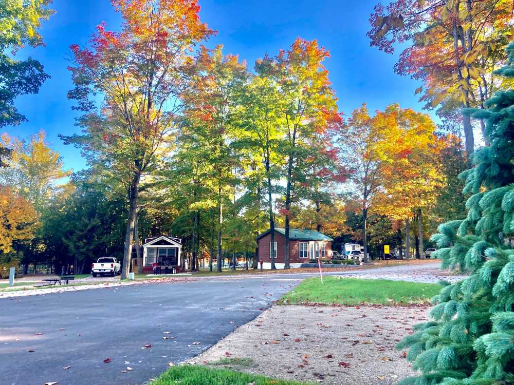 Yogi Bear's Jellystone Park™ Camp-Resort: Petoskey - Photo 4
