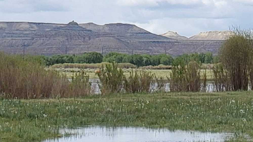 Mountain Bluebird RV Park - Photo 3