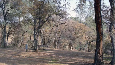 30amp Electric/Water Site — image 6 of 6