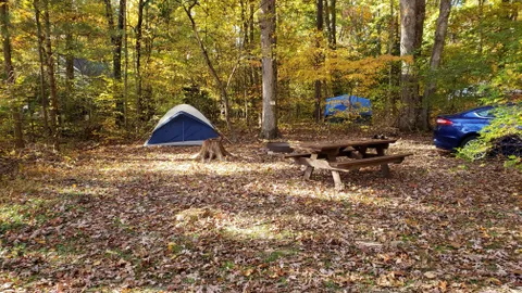 Primitive Tent Site — image 1 of 7