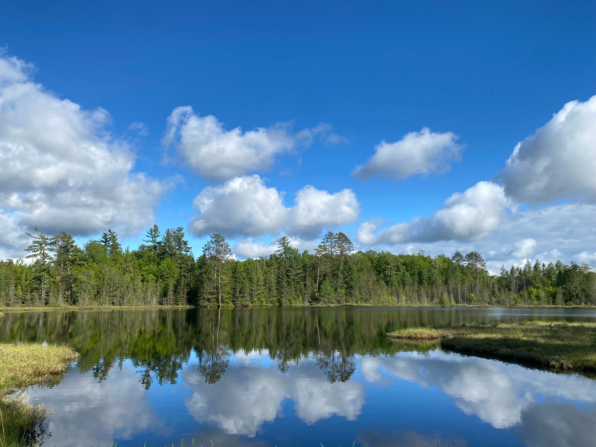 Land O' Lakes Nature RV Resort (Age Restricted 25+)