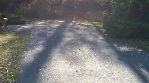 Superior Mountain View RV Site — image 2 of 25