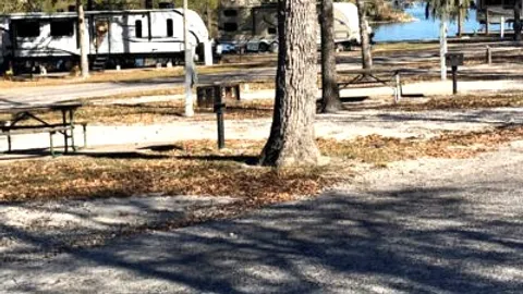 Waterview Pull Thru Rock — image 2 of 2