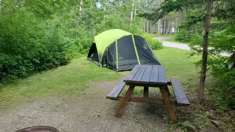Primitive Tent/RV Site — image 1 of 9