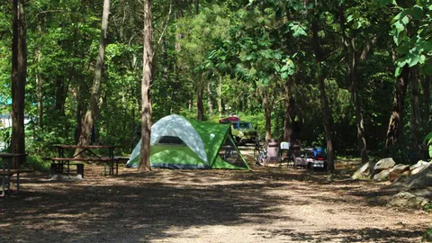 Standard RV/Tent Site — image 2 of 5