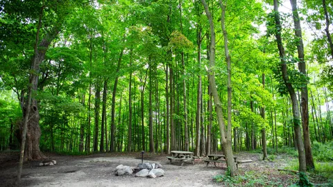 Primitive Tent (Rustic) — image 1 of 32