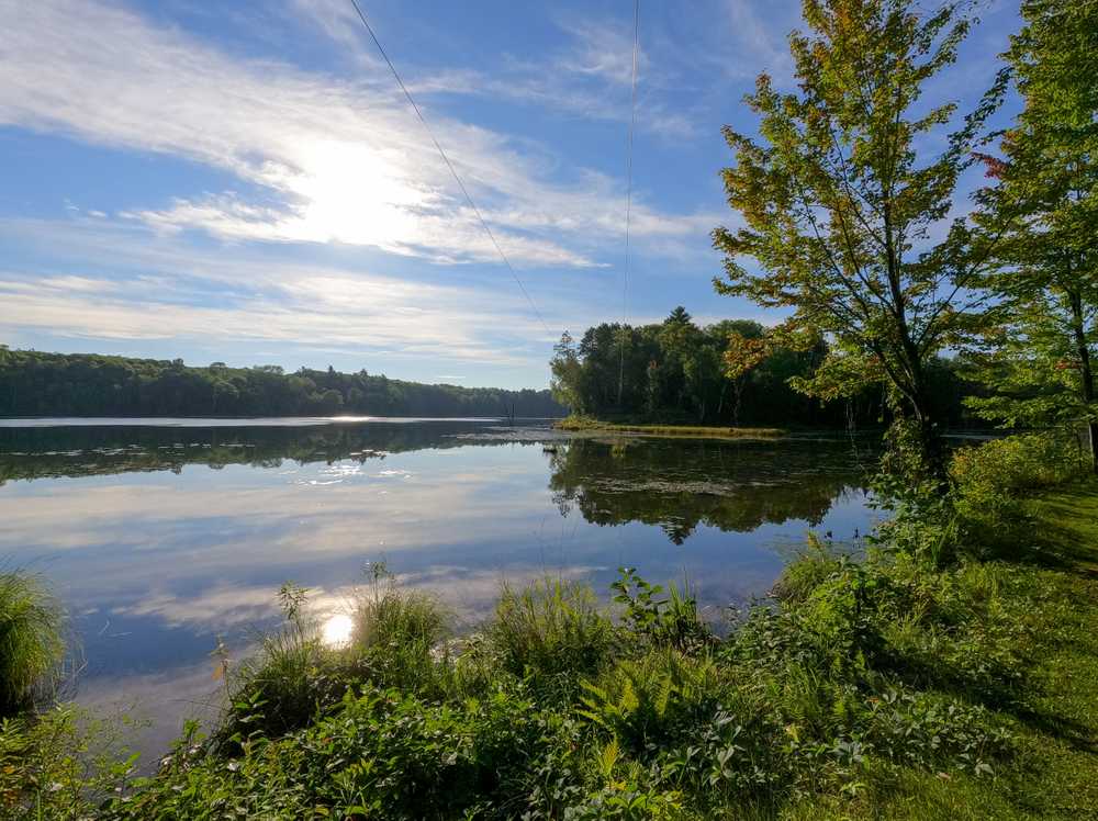 Park Image 14