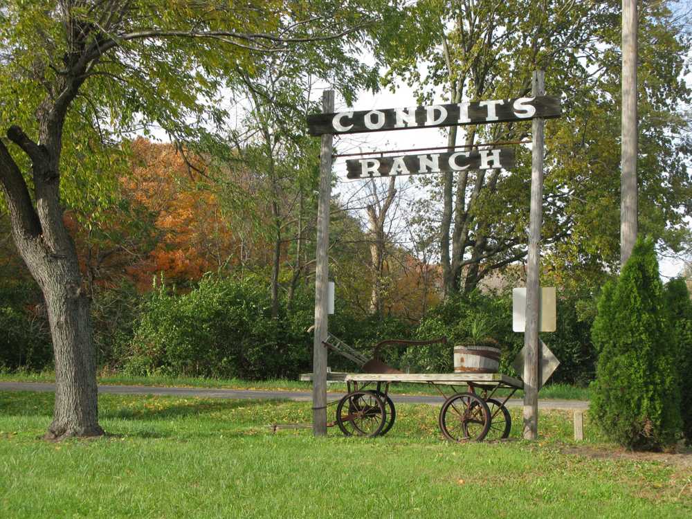 Park Image 17