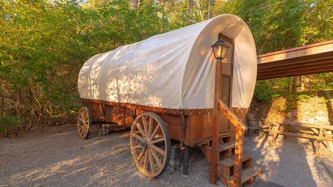 Covered Wagon — image 1 of 13