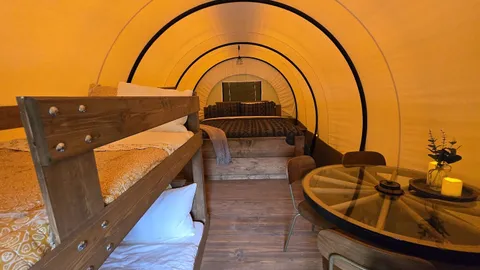 Pioneer Wagon — image 2 of 6