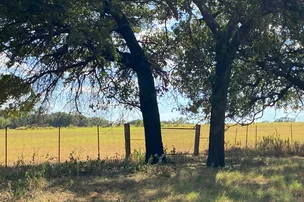 The Oaks at May – photo 5