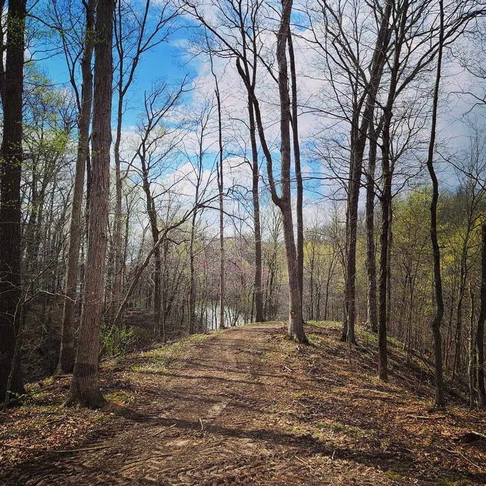 Mill Creek Park - Photo 4